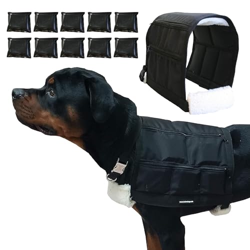 ActiveDogs Weighted Dog Vest with Weights - Dog Agility Training Equipment Jacket for Dog Exercise, Strength, Pulling & Endurance - Burn Calories & Build Muscle - Large 34-38 IN, 10 x 1LB - size: Large