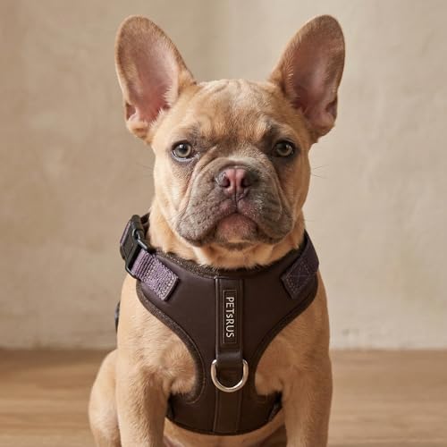 Premium No-Pull Dog Harness Soft Neoprene & Breathable Mesh Vest with Front & Back Clip D-Rings Adjustable Lightweight Walking Harness for Puppies, Small & Medium Dogs (Dark Chocolate Brown, M) - color: Dark Chocolate Brown, size: M: Neck=15.4-20.1''/Ches