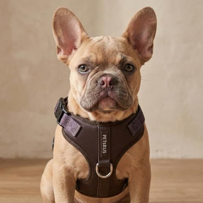 Premium No-Pull Dog Harness Soft Neoprene & Breathable Mesh Vest with Front & Back Clip D-Rings Adjustable Lightweight Walking Harness for Puppies, Small & Medium Dogs (Dark Chocolate Brown, L) - color: Dark Chocolate Brown, size: L: Neck=16.5-22''/Chest=