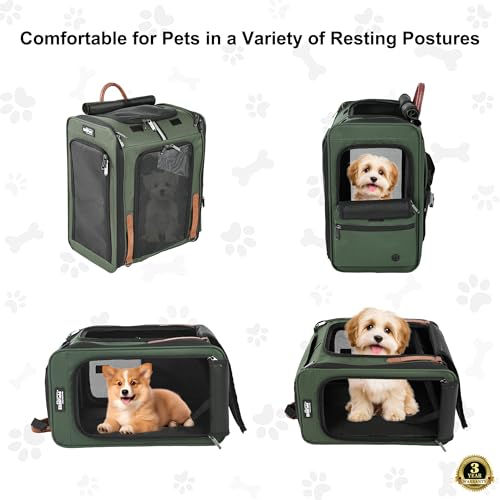 EliteField Deluxe Backpack Pet Carrier (3 Year Warranty, Airline Approved), Travel Soft-Sided Carrier Bag for Dogs, Cats & Small Pets - color: Army Green, size: 15.0"L x 13.5"W x 9.0"H