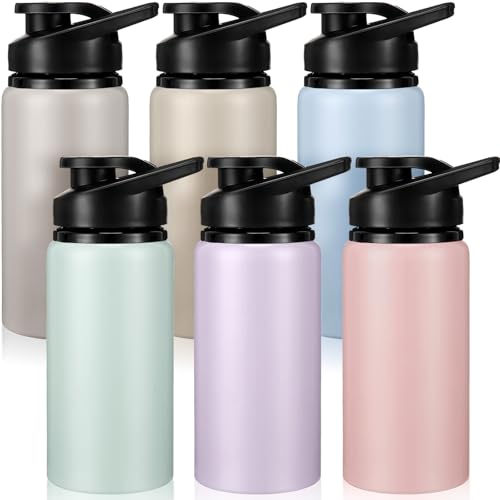 Domensi 6 Pack Aluminum Water Bottle Bulk Reusable Water Bottle, Lightweight Easy Carry Leakproof with Snap Lid Travel Bottles, for Gym Outdoor Sports Cycling Camping Fishing (17oz,Morandi Colors) - color: Morandi Colors, size: 17oz