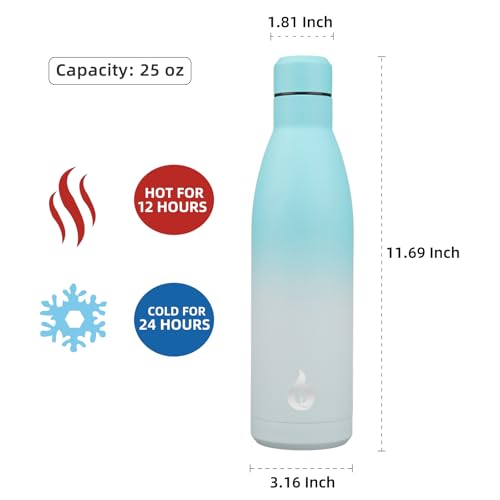 BJPKPK 25 oz Insulated Stainless Steel Water Bottle, Metal Sports Flask - color: Sea Salt, size: 25 Ounces