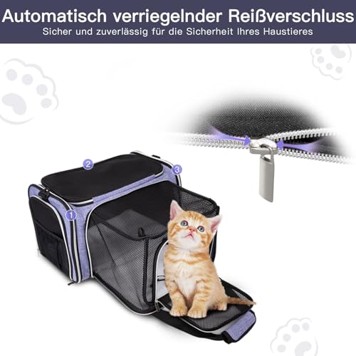 BAGLHER Cat Carrier Bag,Airline Approved Pet Carrier Soft Side Pet Travel 5 Sides Open Doors 3 Sides Expandable Foldable Dog Carrier with Fleece Pad - color: Purple, size: 17.5"L x 12.0"W x 11.5"H
