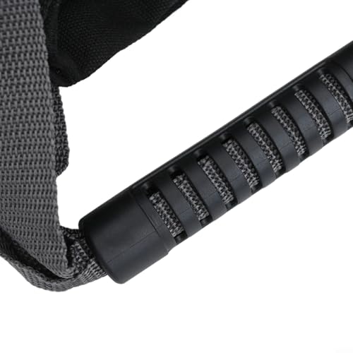 Adjustable Sandbag with Handle for Fitness and Home Training, Kettlebell Alternative Weight Training Bag in Long Lasting Canvas, Strength and Yoga Workout Equipment