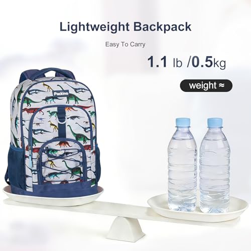 School Backpack for Teen Girls Bookbags, Large Capacity Water Resistant Laptop Bags Elementary High School Women Travel Daypacks - color: Dinosaur