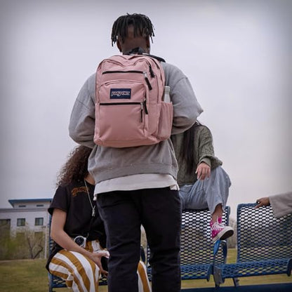 JanSport Laptop Backpack - Computer Bag with 2 Compartments, Ergonomic Shoulder Straps, 15” Laptop Sleeve, Haul Handle - Faded Sage - color: Faded Sage
