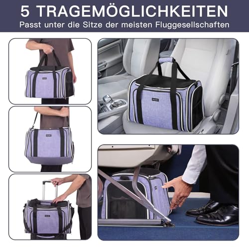 BAGLHER Cat Carrier Bag,Airline Approved Pet Carrier Soft Side Pet Travel 5 Sides Open Doors 3 Sides Expandable Foldable Dog Carrier with Fleece Pad - color: Purple, size: 17.5"L x 12.0"W x 11.5"H