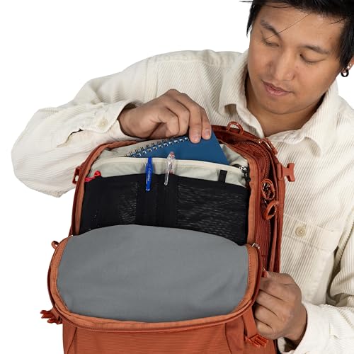 Osprey Nebula Commuter Backpack - Everyday Bag with Laptop Sleeve and Bottle Pockets, Graphite Purple Heather - color: Graphite-purple Heather