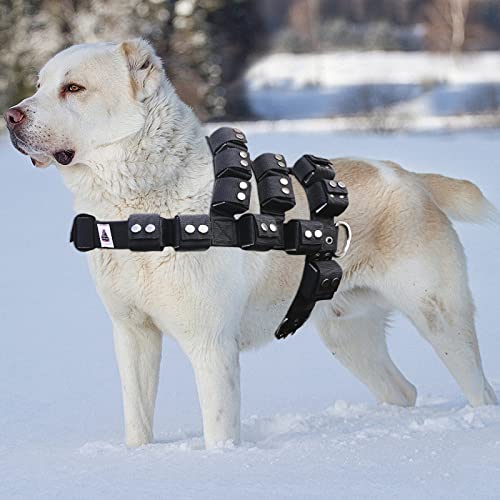 Dog Harness for Small Medium Large Dogs No Pull, Dog Weighted Vest, Tactical Dog Harness for Pit Bulls with Pockets (Adjustable Weight) - Weight Loss, Exercise, Walking, Muscle - size: Size S/Dog's Waist 23.5"-28.5"