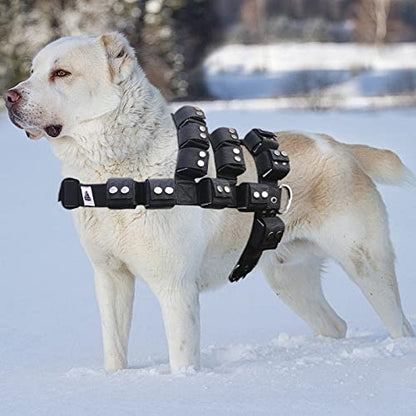 Dog Harness for Small Medium Large Dogs No Pull, Dog Weighted Vest, Tactical Dog Harness for Pit Bulls with Pockets (Adjustable Weight) - Weight Loss, Exercise, Walking, Muscle - size: Size S/Dog's Waist 23.5"-28.5"