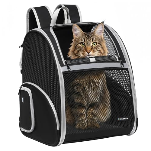 Pet Backpack Carrier, Large Cat Carrier Backpack Up to 20 Lbs with Breathable Mesh, for Medium Large Cats or Small Dogs, Travel Hiking Camping Backpack (Black-XL) - color: Black, size: X-Large