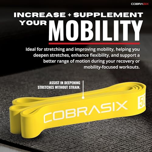 COBRASIX Long Resistance Bands for Working Out | Set of 6 Exercise Bands for Full-Body Training | Pull Up Bands for Home Gym with Handles, Door Anchor and Bar Options | for Men & Women