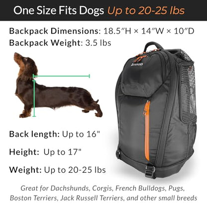 DJANGO Dog Carrier Backpack – Pet Backpack for Small Dogs & Cats with Hip Belt, Laptop Pocket & Water Bottle Sleeve – Travel Dog & Cat Carrier for Hiking, Camping & Commuting (Midnight Black)
