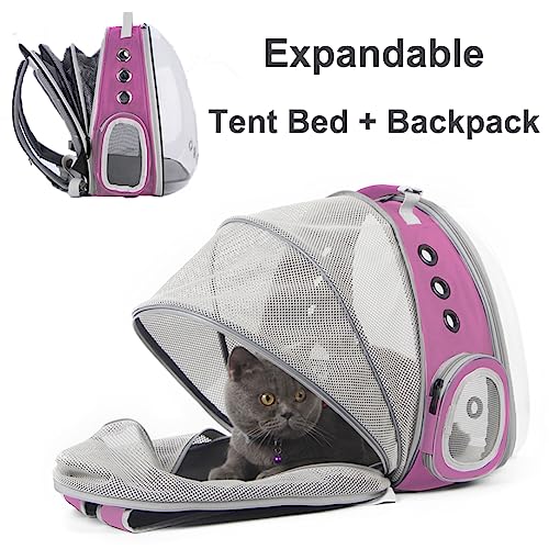 Back Extension Cat Travel Carrier Backpack (Pink, Clear Window) - color: Pink