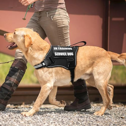 Service Dog Vest Harness and Leash Set+10 Patches,No Pull&Easy Walk Reflective Dog Harness with Soft Padded Handle for Training/Everyday,Fit Small/Medium/Large/Extra-Large Dogs (Black S) - color: Black, size: Small