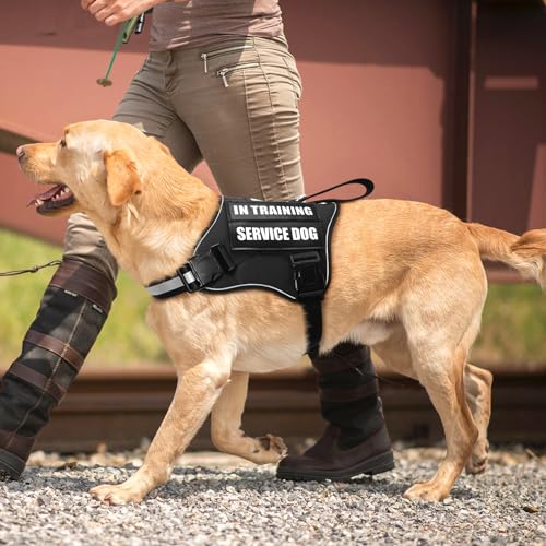 Service Dog Vest Harness and Leash Set+10 Patches,No Pull&Easy Walk Reflective Dog Harness with Soft Padded Handle for Training/Everyday,Fit Small/Medium/Large/Extra-Large Dogs (Black L) - color: Black, size: Large