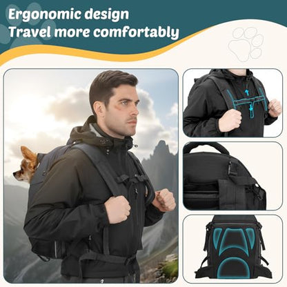 Dog Backpack Carrier for Hiking, Pet Travel Bag up to 18 lbs, 2-in-1 Foldable Cat Backpack with Laptop Compartment, Reinforced Ventilated 600D Nylon Rucksack for Walking Camping Commuting - color: Black