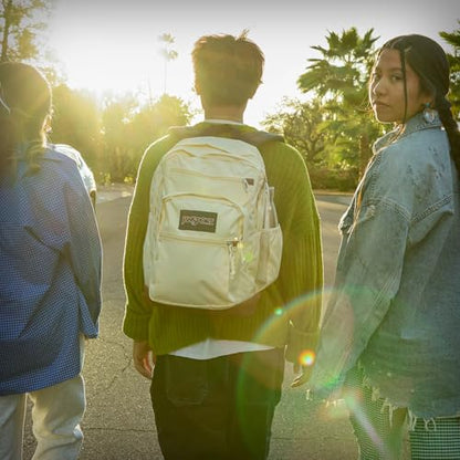 JanSport Cool Backpack with 15-inch Laptop Sleeve, Large Computer Bag Rucksack with 2 Compartments, Ergonomic Straps, Faded Sage - color: Faded Sage