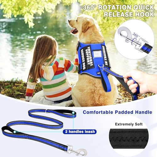 Service Dog Vest Harness and Leash Set+10 Patches,No Pull&Easy Walk Reflective Dog Harness with Soft Padded Handle for Training/Everyday,Fit Small/Medium/Large/Extra-Large Dogs (Blue M) - color: Blue, size: Medium