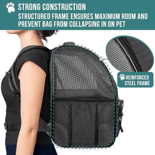 PetAmi Dog Backpack Carrier for Small Medium Dogs Large Cats up to 18 lbs, 2 Side Entry, Structured No-Collapse Frame, Airline Approved Ventilated Pet Backpack for Hiking Camping Travel, Charcoal - color: Charcoal
