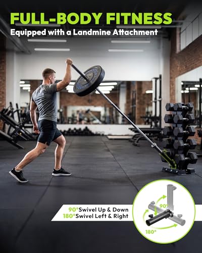 HANDBODE A-Frame Dumbbell Rack Heavy Duty Weight Stand for Dumbbells, Space-Saving Metal Storage Organizer, Sturdy Dumbbell Holder for Home Gym - style: 260 lb Set (15, 20, 25, 30, 40 lb) *2 & Rack
