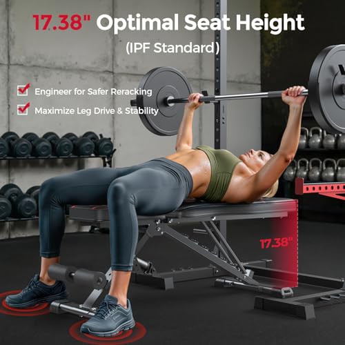 FLYBIRD WB2 Weight Bench, Utility Adjustable Weight Bench for Full Body Workout- Multi-Purpose Foldable Incline Bench (Black)