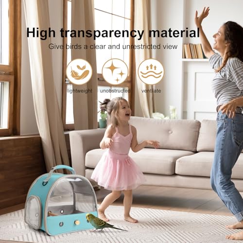 Bird Carrier, Portable Small Bird Parrot Parakeet Carrier with Standing Perch and Stainless Steel Tray, Side Access Window Collapsible (Green, Clear Windows) - color: Green