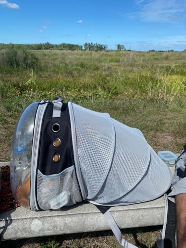 Back Extension Cat Travel Carrier Backpack (Black, Clear Window) - color: Black