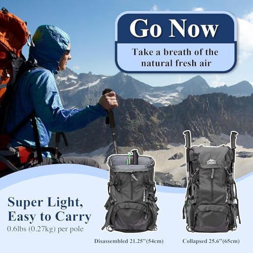 TheFitLife Nordic Walking Trekking Poles - 2 Sticks with Anti-Shock and Quick Lock System, Telescopic, Collapsible, Ultralight for Hiking, Camping, Mountaining, Backpacking, Walking, Trekking - color: Black