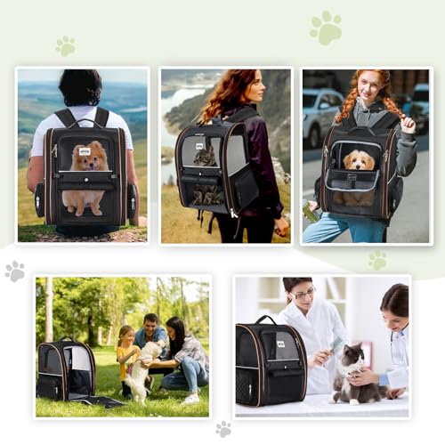 Large Cat Backpack Carrier Expandable Pet Carrier Backpack for Small Dogs Medium Cats Fit Up to 18 Lbs, Dog Backpack Carrier, Foldable Puppy Backpack Carrier for Travel,Black - color: Black