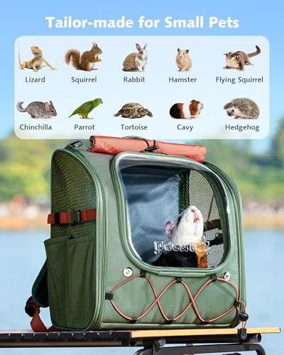 Pecute Small Pet Carrier, Breathable Bearded Dragon Carrier, with Transparent Bubble & Steel Frame, Safety Lock for Hamster, Rabbit, Guinea Pig, Kitten, Puppy, Ideal for Travel/Vet Visits/Camp, Green - color: Green