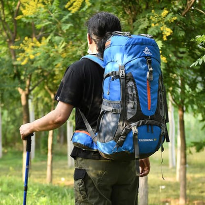 Bseash 60L Hiking Camping Backpack with Rain Cover, Waterproof Large Capacity Outdoor Sport Travel Daypack Climbing Touring (Army Green) - color: Army Green