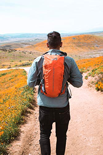 ALPS Mountaineering Canyon 20L Backpack - Chili/Gray