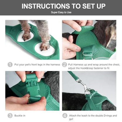 Fida Cat Harness and Leash Set for Walking Kitten and Puppy, Escape Proof Kitten Harness with Breathable Lightweight Soft Mesh, Adjustable Reflective Step-in Design. (XS, Green) - color: Turquoise, size: XS (Neck:12.2"-13"; Girth:14.2"-16.1")
