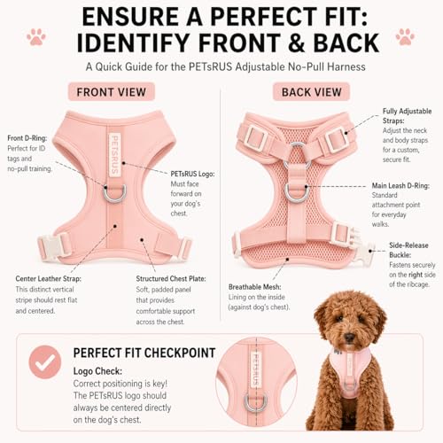 Premium No-Pull Dog Harness Soft Neoprene & Breathable Mesh Vest with Front & Back Clip D-Rings Adjustable Lightweight Walking Harness for Puppies, Small & Medium Dogs (Baby Pink, M) - color: Baby Pink, size: M: Neck=15.4-20.1''/Chest=18.1-24.4''