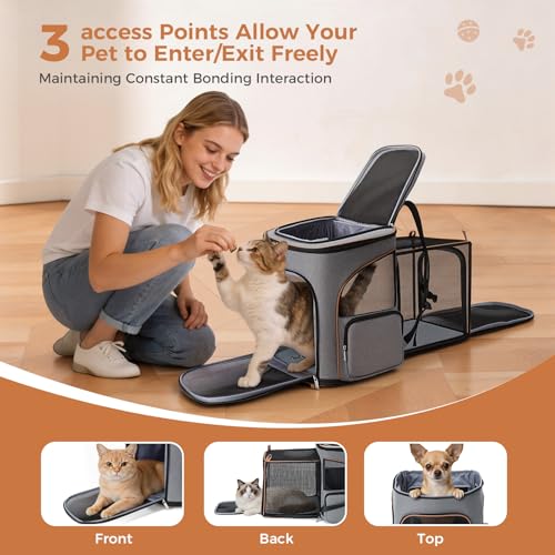 Lekereise Cat Backpack Expandable Pet Carrier Backpack for Small Cats and Dogs, Airline-Approved Foldable Dog Carrier Backpack with Inner Safety Leash, Grey - color: Grey, size: 21.7"L x 13.0"W x 15.0"H