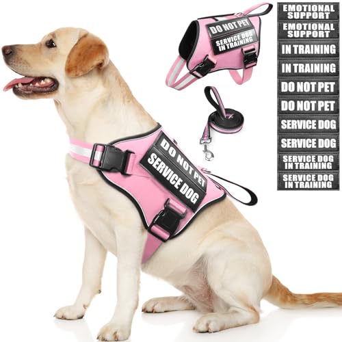 Service Dog Vest Harness and Leash Set+10 Patches,No Pull&Easy Walk Reflective Dog Harness with Soft Padded Handle for Training/Everyday,Fit Small/Medium/Large/Extra-Large Dogs(Pink M) - color: Pink, size: Medium