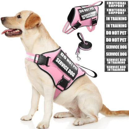 Service Dog Vest Harness and Leash Set+10 Patches,No Pull&Easy Walk Reflective Dog Harness with Soft Padded Handle for Training/Everyday,Fit Small/Medium/Large/Extra-Large Dogs(Pink M) - color: Pink, size: Medium