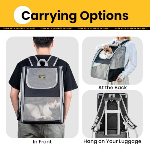 Conlun Cat Backpack Carrier for Small Dogs and Cats Fit Up to 15 Lbs,Small Dog Backpack, Foldable with 3-Side Mesh Windows, Pet Carrier for Travel & Hiking Friendly，Gray - color: Grey