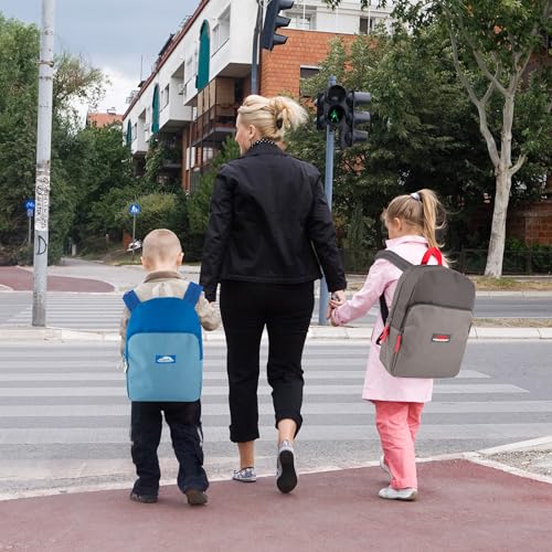 Trail maker 15 Inch Backpack for Kids, Preschool, Elementary & Middle School Students – Spacious Bookbag with Large Front Pocket, Adjustable Straps, Fits up to 13 Inch Laptop (Grey) - color: Grey