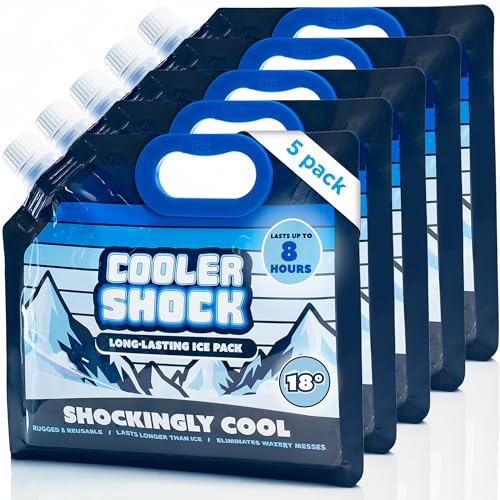 Cooler Shock Reusable Ice Packs for Cooler - Long Lasting Cold Freezer Packs for Coolers and Lunch Boxes - Cooler Ice Packs for Camping Gear, Fishing, Road Trips, Beach Must Haves - style: Small - With Handle - 5pk