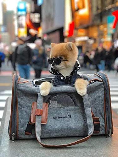 Mr. Peanut's Airline Approved Soft Sided Pet Carrier, Low Profile Gold Series Tote, Premium Brand Self Locking Zippers, Under Seat Compatibility, Plush Faux Fleece Bedding with a Sturdy Plywood Base - color: Rosa Red