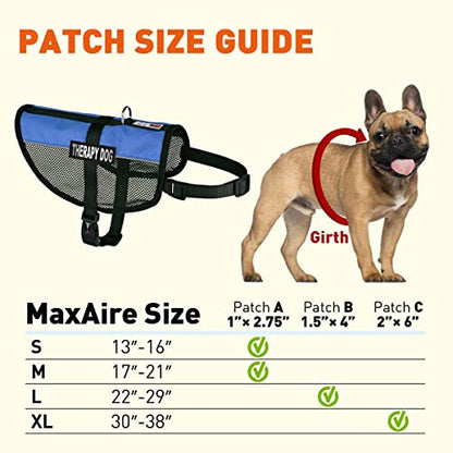 Dogline MaxAire Multi-Purpose Mesh Vest for Dogs and 2 Removable Therapy Dog Patches, Small, Blue - color: Blue, size: Girth 13 by 16"