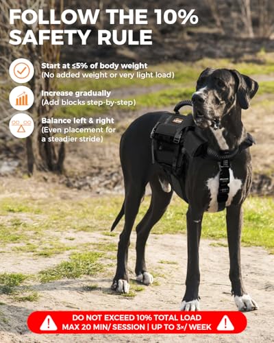 Weighted Dog Vest and Collar Set with 4 Removable 0.88 lb Weight Blocks, No Sand Filling, Training Gear for Medium and Large Dogs, Walking, Conditioning, Muscle Building-L