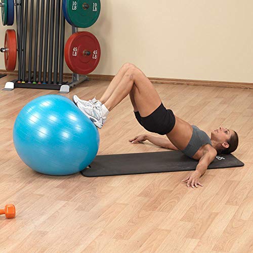 Body-Solid Soft Weighted Toning Ball Pregnant Womens Exercise Balls, for Yoga, Pilates, Fitness and Strength Training, Latex Free - 500lb Weight Capacity