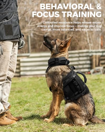 Weighted Dog Vest and Collar Set with 4 Removable 0.88 lb Weight Blocks, No Sand Filling, Training Gear for Medium and Large Dogs, Walking, Conditioning, Muscle Building-L