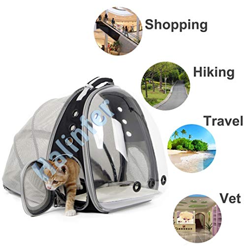 Back Extension Cat Travel Carrier Backpack (Black, Clear Window) - color: Black
