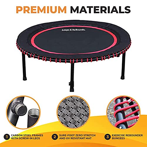 LEAPS & REBOUNDS 48" Adjustable Stability Bar Attachment with 48" Mini Fitness Trampoline and Home Gym Rebounder for Cardio Exercises, Gray