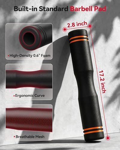 FEIERDUN DS2 Adjustable Dumbbells, 20/30/40/45/70/90lbs Free Weight Set with Connector, 5 in1 Dumbbells Set Used as Barbell, Kettlebells, Push up Stand, Weight Plate, Fitness Exercises for Home Gym Suitable Men/Women - style: A.20LB(10LB Pair)