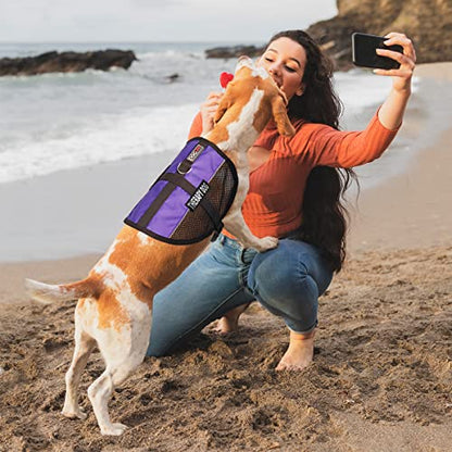 Dogline MaxAire Multi-Purpose Mesh Vest for Dogs and 2 Removable Therapy Dog Patches, Medium, Purple - color: Purple, size: Girth 17 by 21"